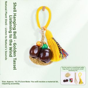 Natural Shell Craft Kit DIY