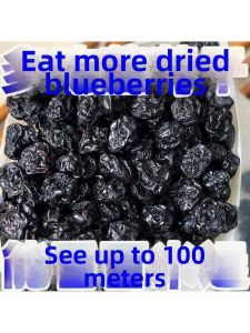 Sugar Free Wild Blueberry Dried Fruit