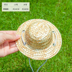 Cute Pet Cat Dog Hat Summer Pet Sun Protection Cap Devon Cat Summer Fisherman Hat Photo Taking Sunshade Cap Open Ear Design