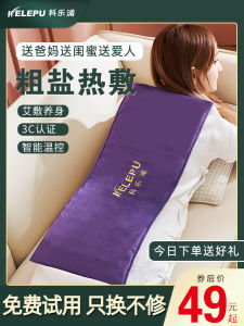 Electric Heating Salt Bag Sea Salt Hot Compress Package for Waist And Neck Massage Eucalyptus Heat Therapy Home Care Equipment