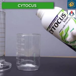 Cytocus Amino Seaweed ไซโตคัส ขนาด 1 ลิตร สาหร่าย อะมิโน น้ำสีเขียวเข้มข้นสูง คีเลต กระตุ้นการแบ่งเซลล์ แตกยอด แตกใบ