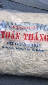 Lưới Khung Thành Sân 7 Người - Lưới Khung Thành Bóng Đá Thi Đấu TOÀN THẮNG - Lưới Chất Lượng