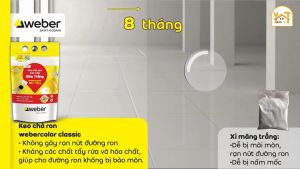 Keo chà ron chống nứt Weber.Color Classic G-68S Siêu trắng (Loại Thông dụng của Weber) ron gạch nền