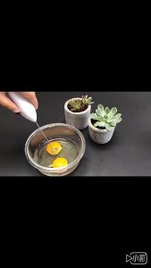 Mixer Pembuih Minuman Kopi/Telur/Susu Otomatis Elektrik Milk Frother