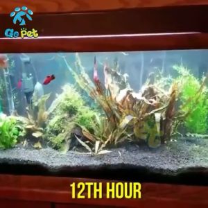 ฆ่าเชื้อ สำหรับตู้ปลา หลอดยูวี กำจัดตะไคร่เขียว โคมไฟฆ่าเชื้อโรค สำหรับฆ่าเชื้อโรค กันน้ำ