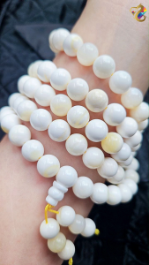 Collection Grade Tridacna Shell 108 Beads Necklace