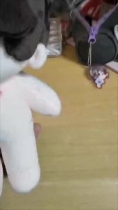 20cm Game Cartoon Love and Deepspace Xavier Zayne Rafayel ralayo Sylus Caleb Xia YiZhou Qin Che Cosplay Cotton Doll Naked Babies Fluffy Puppet Fuzzy Dolls Bauble Xmas Gifts