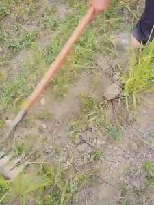 คราด คราดหญ้า 7ฟัน วัสดุเหล็กแมงกานีส คราดเหล็ก กำจัดวัชพืช ใช้ขุดดิน เครื่องมือสวน ถาง หญ้า คราดมีด้าม วัสดุเหล็กกล้าคาร์บอนสูงขอบคมเก็บ