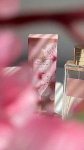 Parfum Cherry Blossom Terlaris - Harum Bunga Sakura yang Menawan dan Tahan Lama.
