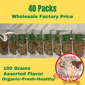 40 Packs Wholesale FACTORY PRICE • Mushroom Mommy • Crispy Mushroom Chicharon