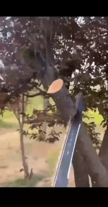 เลื่อยตัดกิ่งไม้ SK5 เคลือบ Teflon ฟันฉลาม ป้องกันสนิม