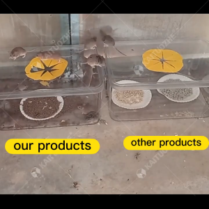 Rat Poison Mouse Repellent Bait 200x Stronger Than Cats Long-lasting Rodent Control Natural Non-toxic Safe For Pets