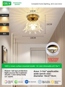 DGY | Modern Simple Ceiling Light