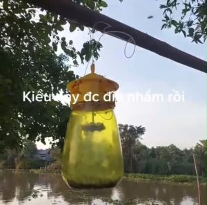 Lồng bẫy ruồi vàng 1L GOSE hũ bắt côn trùng kèm thuốc dẫn dụ hàng chính hãng