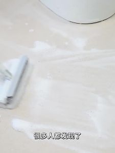 GRACE | Bathroom Tile Gap Cleaning Brush Hard Bristle Long Handle
