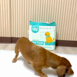 WangWang แผ่นรองซับสัตว์เลี้ยงพรีเมี่ยม – ซึมซับดี แห้งไว ลดกลิ่น ไม่ซึมเปื้อน