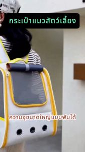 QQPET กระเป๋าสัตว์เลี้ยง HelloCat หน้าต่างกันสามารถพับเก็บได้ กระเป๋าเป้สะพายหลัง กระเป๋าใส่แมว และกระเป๋าเป้สุนัข