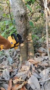 KEELAT Cordless Chainsaw Cordless Wood Cutter Machine Gergaji Pokok Electric Mini Saw