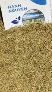 Lá hương thảo sấy lạnh 100g (Rosemary gia vị thảo mộc ướp thịt nướng tạo hương thơm cho món ăn) - Thảo Dược Hạnh Nguyên