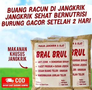 BRAL BRUL pakan khusus burung murai indukan