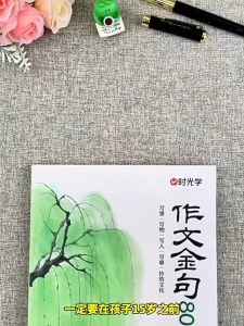 正版 作文金句800例 时光学 让每个孩子写出高分作文 涵盖小学800例提分金句 金句积累 作文提分