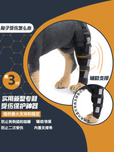 Dog Patellar Dislocation Fixation Band Leg Fracture Weakness Aid Knee Cross Ligament Support Brace Pet Supplies Accessories