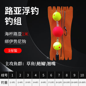 Fishing Line Set for Sea Fishing Grass Carp Lead Line Heavy Duty Horseman Special Hook Ball Float Fishing Line for Catfish