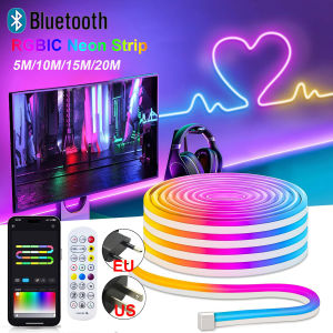 Rgb Ic Neon Led Lights Strip Dc 24V Waterproof Bluetooth App Remote Control Led Room Light 5M 10M 15M 20M Led Ribbon Rgb Tape