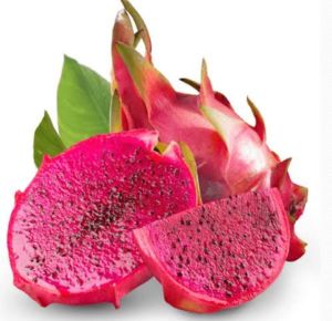 Buah Naga Merah 1 kg