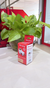 Chuôi đèn liền phích công tắc ĐQ LH E27 SW