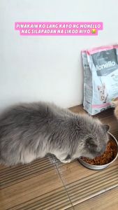 1kg Monello All Stages Cat Adult and Kitten Sterilized Hairball Premium Dry Food All Natural