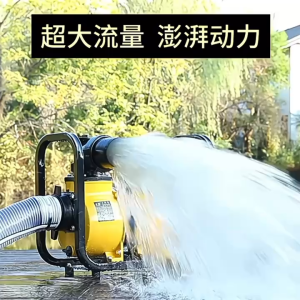 SUMINOE Electric Irrigation Water Pump 2HP 1.5KW 2 Inch High Flow Transfer Pump for Farm Garden Water Supply