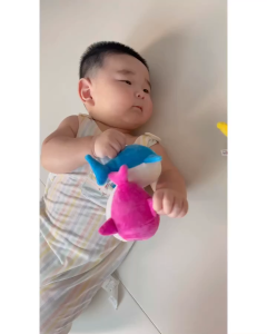 SET ĐỒ CHƠI 5 CON GẤU BÔNG GIA ĐÌNH CÁ MẬP PHÁT ÂM THANH PINKFONG BABY SHARK HÀN QUỐC