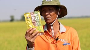 สูตรใหม่ 10ดาว (ส่งฟรี) 10DAO BIO DEGRADATION 10ดาวไบโอ 10ดาวจุลินทรีย์ ไบโอจุลินทรีย์ หัวเชื้อจุลินทรีย์