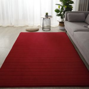 XINXIANGRUI | Thick Bedroom and Living Room Floor Carpet