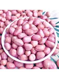 Freshly Peeled Shelled Peanut Large Size Selection Henan BaiSha