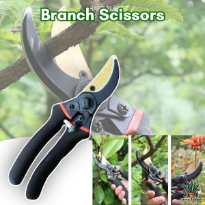 Gardening Scissors for Thick Branches: A Comprehensive Guide