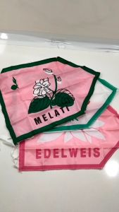 Bendera Regu Pramuka Putri: Simbol Kepemudaan Indonesia