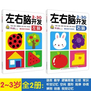 Trò Chơi Giáo Dục Sớm Cho Trẻ Em Phát Triển Não Trái Và Não Phải Từ 2-6 Tuổi Đồ Chơi Giáo Dục Sớm Có Nhãn Dán Đồ Chơi Học Tập