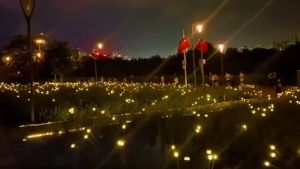 Lampu Hias Taman LED Tenaga Surya Outdoor Bentuk Kunang-Kunang 8LED/10LED Tahan Air Hias Taman Pot