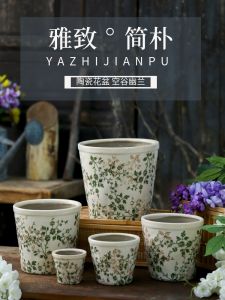 Fresh and Retro Nordic Simple Hydroponic Vessel Creative Idyllic Orchid Green Radish Green Plant Succulent Large Ceramic Flower Pot