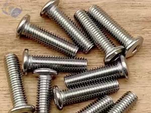 304 Stainless Steel Flat Head Hex Socket Furniture Screws M4 M5 M6 M8 Rivet Connector Bolt Allen Head Joint Bolt for Bed Cabinet