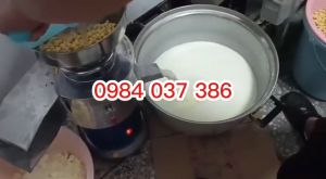 Máy xay vát tách Đậu Nành làm tào phớ sữa đậu 750W