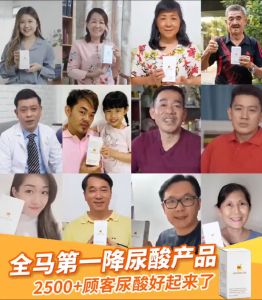 现货 Master Uri  买4送3  浓缩猫须草精华-降尿酸保健品 尿酸 痛风 补肾