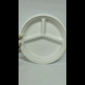 (50Pcs) Biodegradable Plate / Sugarcane Plate / Bio Plate / 10 10 3 Compartment Plate