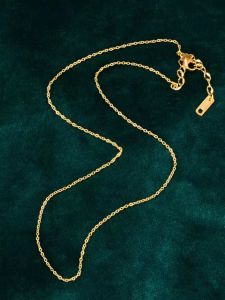 18K Gold Plated Titanium Steel Necklace Fine Chain Womens Style Non-Fading Single Chain Gold Color Clavicle Chain Accessory