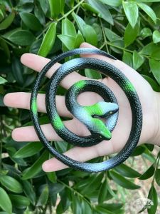 Đồ Chơi Mô Hình Rắn Bằng Cao Su Mềm Cho Trẻ Em Mẫu Giáo Đồ Chơi Ma Quái Rắn Nhỏ Hình Động Vật Mô Phỏng Hai Đầu
