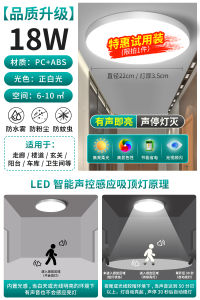 Automatic Sensor LED Light Stairs Lighting Ceiling Mounted Corridor Hallway Infrared Human Body Radar Controlled Light