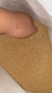 Makanan Burung (Sambau Putih U.S.A) 20kg WHITE USA PROSO MILLET 99% CLEAN PREMIUM QUALITY Grade A 鸟料