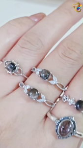 Collection Grade Black Silver Rutilated S925 Silver Rings (6 Types to Choose)